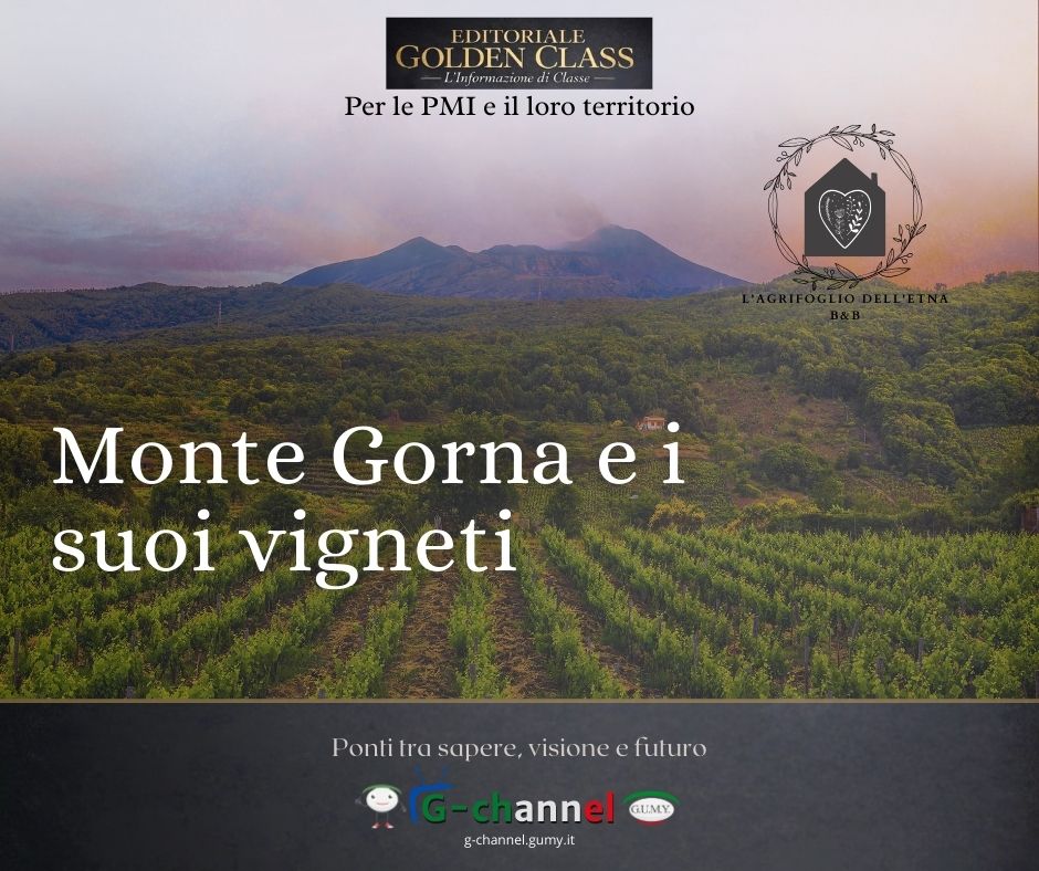 Monte Gorna e i suoi vigneti dal B&B L'Agrifoglio dell'Etna